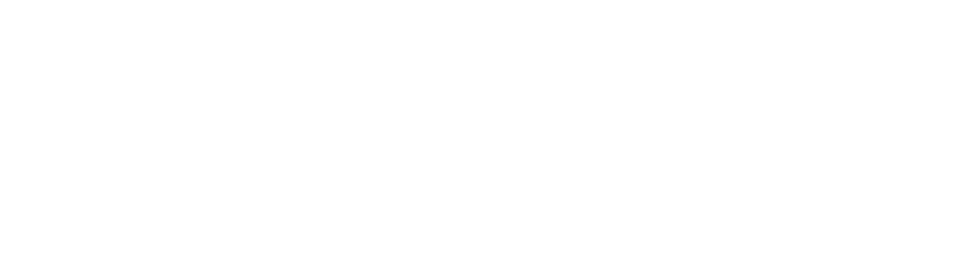Bahsine logo